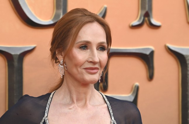 "Fantastic Beasts: The Secrets of Dumbledore" World Premiere - Arrivals